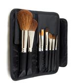 Brush Set and Case